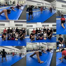 Image result for Focus Institute of Gymnastics