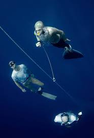 Image result for Deep and Wide Diving