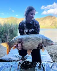 Image result for Petrus rupestris