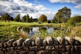 Image result for Vale Royal Abbey Golf Club