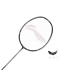 Image result for Beginners and Intermediate Badminton