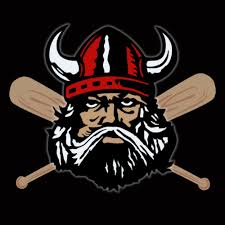 Image result for North East Vikings