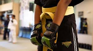 Image result for Middletown Martial Arts Dojo