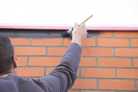 Image result for kaleien