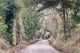 Image result for Green Lane Mountaineering Club, Surrey