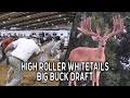 Image result for Big Bucks High Rollers
