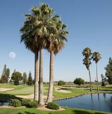 Image result for Belmont Scrabble Club