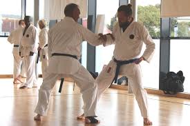Image result for North Yorkshire Goju Ryu Karate Club