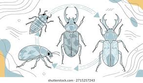 Attēlu rezultāti vaicājumam “Ceruchus chrysomelinus larva”