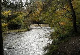 Image result for Calderglen Harriers