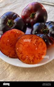 Afbeeldingsresultaat voor purple calabash tomato