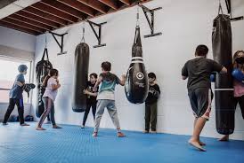 Image result for Surrey Ju - Jitsu Kick Boxing Club