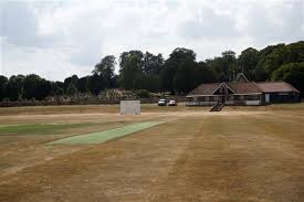 Image result for Hadleigh Cricket Club
