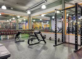 Image result for The Gym Centre & The Cheltenham School Of Gym
