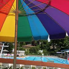 Image result for Box Hill Swim Team