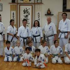 Image result for Aylesbury Vale Seido Karate