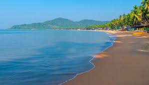 Image result for patnem beach