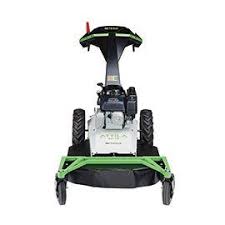 Image result for etesia tehron