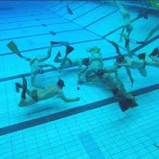 Image result for TAROT Octopush Club