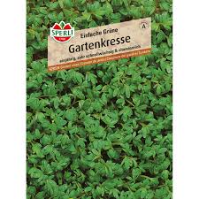 Image result for Gartenkresse