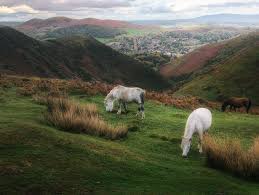 Image result for Long Mynd