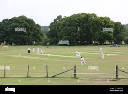 Image result for Forest Green Cricket Club