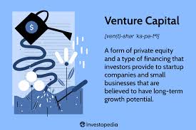 Venture capitalists funding