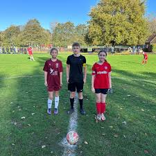 Image result for Chipstead Fc