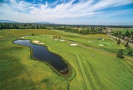 Image result for Bellingham Golf Club