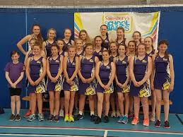Image result for Elmbridge Netball Club