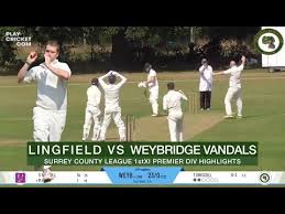 Image result for Lingfield Cricket Club