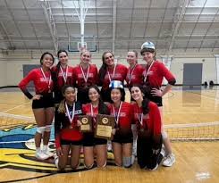 Image result for Newmarket Volleyball Club