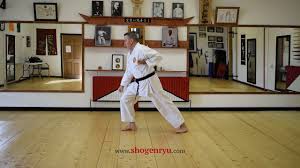 Image result for Kensei Karate Dojo