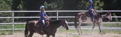 Image result for Greenways Riding Stable Lower Eashing