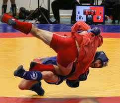 Image result for Doncaster Sambo