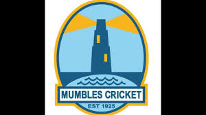 Image result for Ynysygerwn Cricket Club