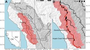 Image result for Ptychocheilus grandis