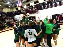 Image result for Ellesmere Port Eels Volleyball Club