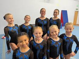 Image result for Hinckley Gymnastics Club