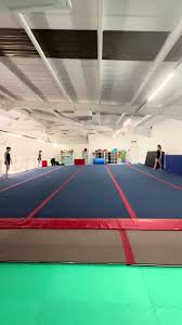 Image result for Treasure Gymnastics