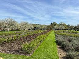 Image result for Bidborough Cc