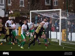 Image result for Merseyside Ravens