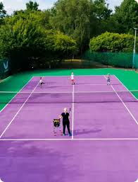 Image result for David Lloyd (Derbyshire) Badminton Club