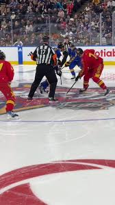 Image result for Ash Avalanche Skater Hockey Club