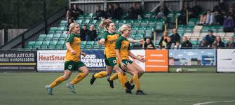 Image result for Haywards Heath Town Ladies Football Club