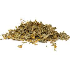 Attēlu rezultāti vaicājumam “Primula veris fruit”