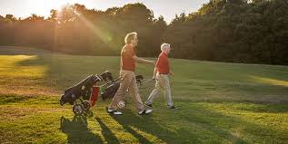 Image result for Wimbledon Common Golf Club