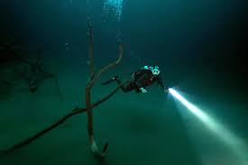 Image result for Aztec Divers