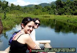 Manu National Park jungle trips Green Land Peru Fredy Dominguez. Rate: Report as inappropriate. Manu National Park jungle trips Green Land Peru Fredy ... - manu-national-park-jungle