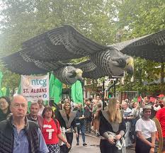 Image result for St Albans Centurions